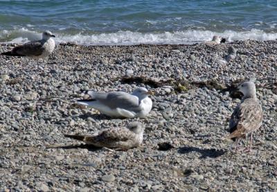 Прикрепленное изображение: DSCF7912.jpg